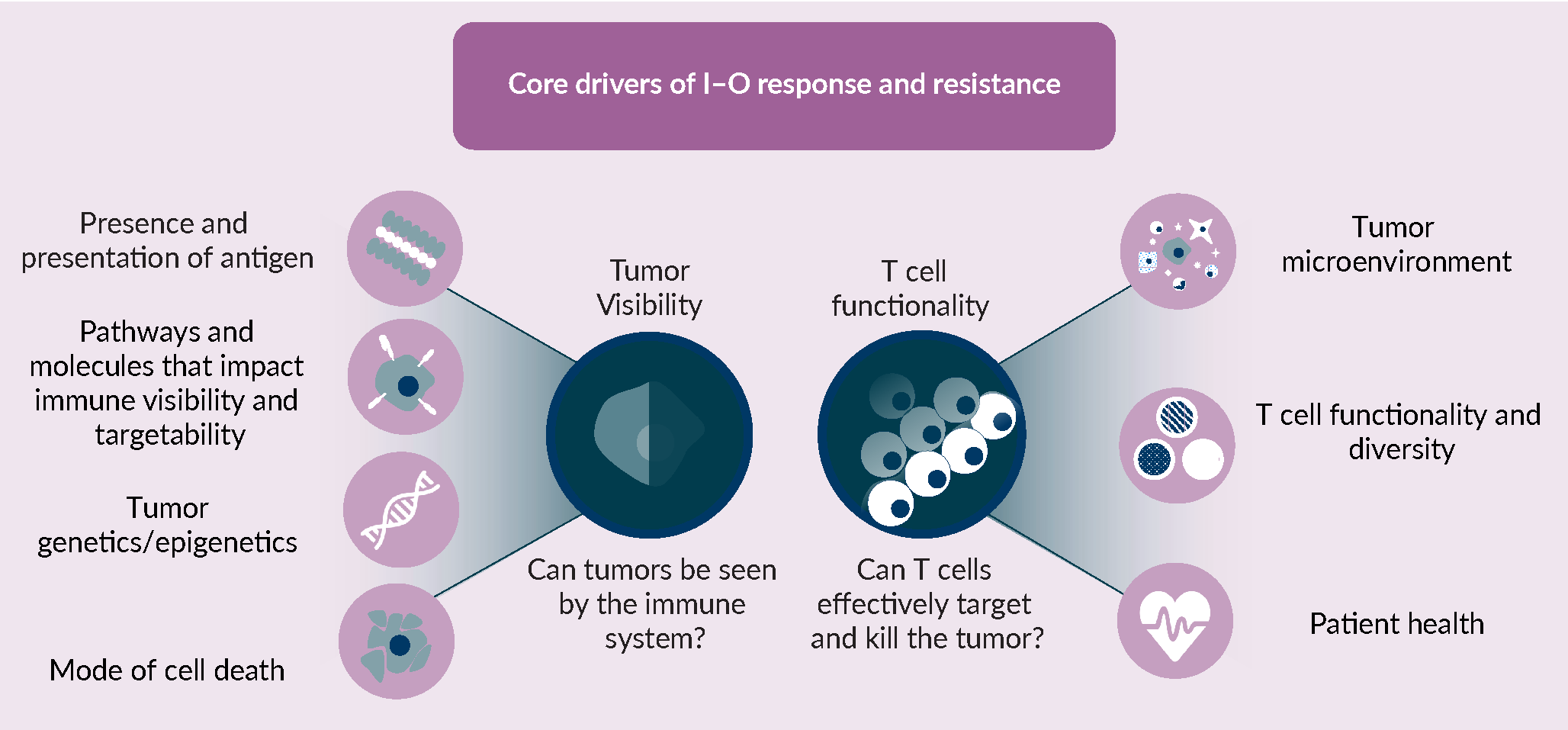 I–O response and resistance is underpinned by two central drivers: 1) whether or not a tumor is visible to the immune system and; 2) whether or not T cells can effectively target and kill those tumor cells. These two core components, tumor visibility and T cell functionality, are subject to modification by a number of different tumour cell intrinsic and extrinsic aspects of biology, which are themselves interdependent. With respect to tumor visibility, the existence of recognisable neoantigens and their effective presentation via the antigen presentation machinery, pathways and molecules that effect visibility at the tumor cell intrinsic level, such as PD-L1 expression, genetic or epigenetic mutations that can impact both of these features, and the mode of tumor or stromal cell death can all independently or together impact the ability to induce a productive and durable immune response. With respect to T cell functionality, the cells and associated cytokine and chemokine signals within the microenvironment are a major determinant of T cell function within that environment, additionally the overall diversity and functional state of the T cells as well as the patients’ current health status, can have a major role on whether T cells can productively kill tumor cells.
