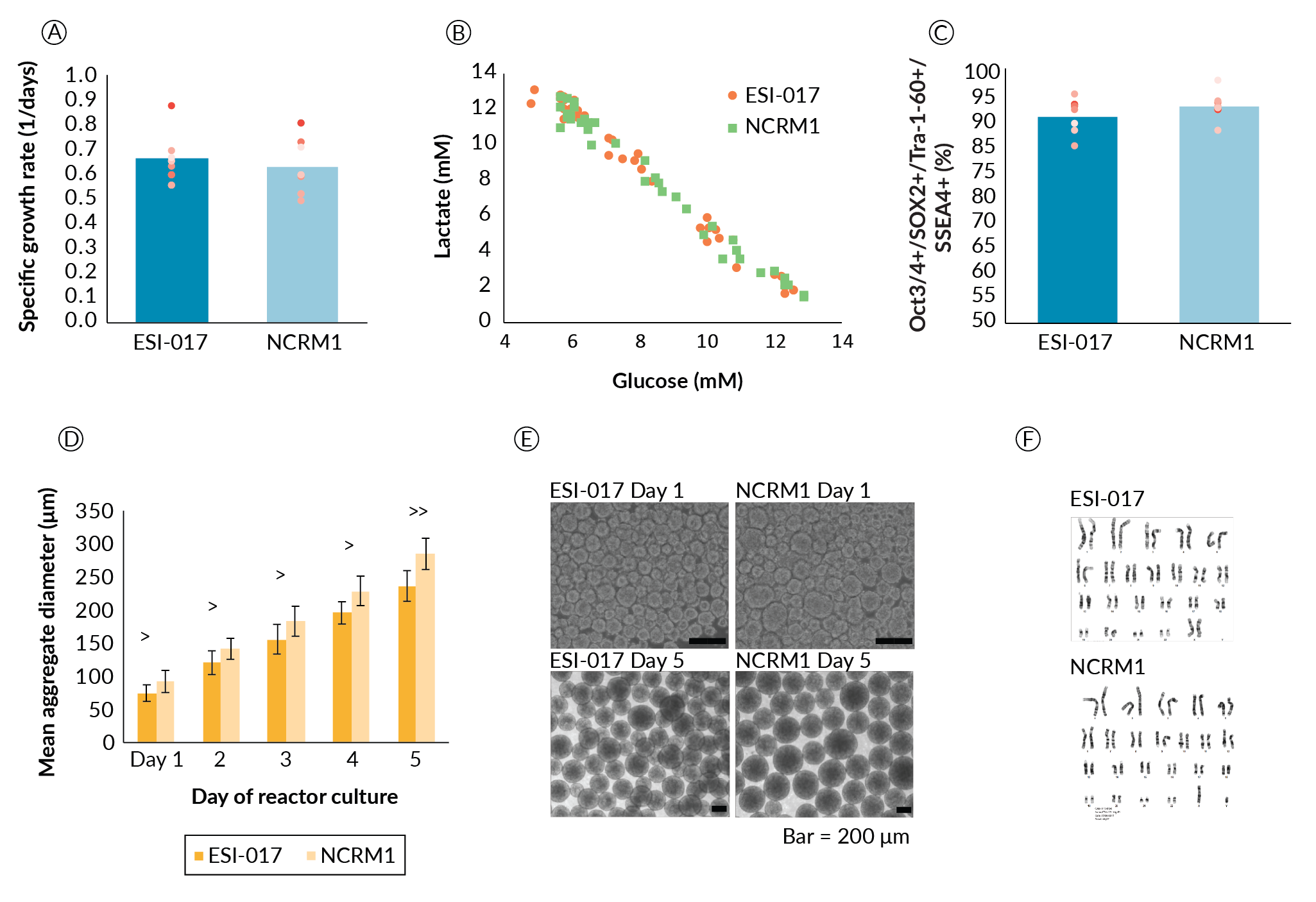 Gentle Cell Dissociation Reagent for Human ES/iPS Cells