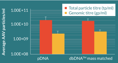 Average titres were calculated from independent experiments: pDNA n = 7; dbDNA™ n = 9.
