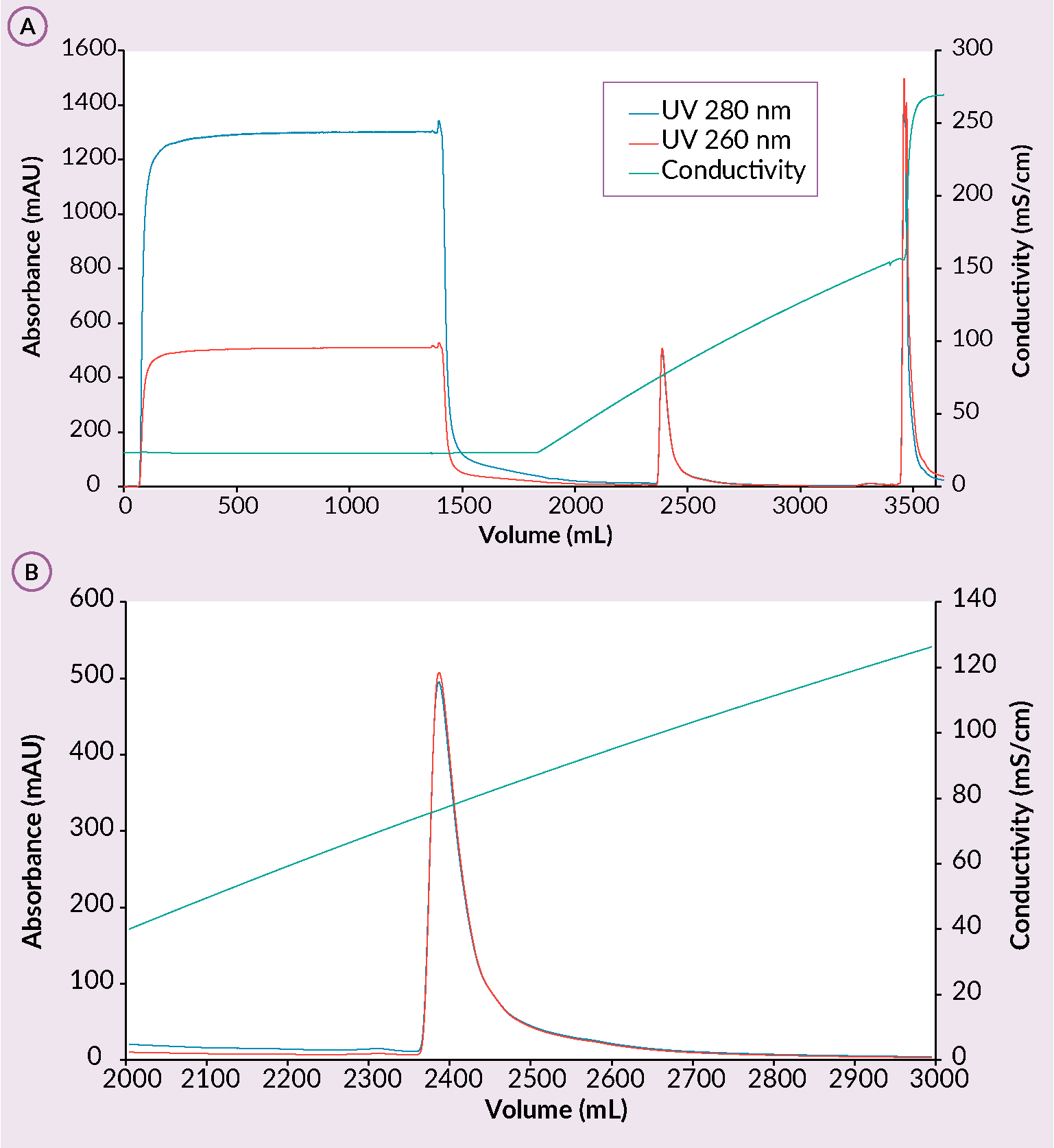 Conditions: sample AAV2/8 mobile phase A: 50 mM formic acid, 0.2 M NaCl, 1% sucrose, 0.1% poloxamer 188, pH 3.5. mobile phase B: 50 mM formic acid, 2 M NaCl, 1% sucrose, 0.1% poloxamer 188, pH 3.5, column CIMmultus SO3-80mL, method A to 100%B in 20CV, 3CV CIP (1M NaOH, 2M NaCl).
