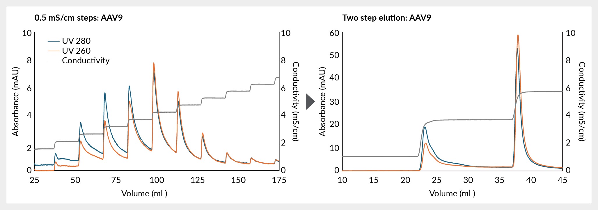 The changes of the UV260:UV280 ratio inform selection of the conductivity for elution of AAV9 empty capsids in the final two-step protocol using Mustang Q.