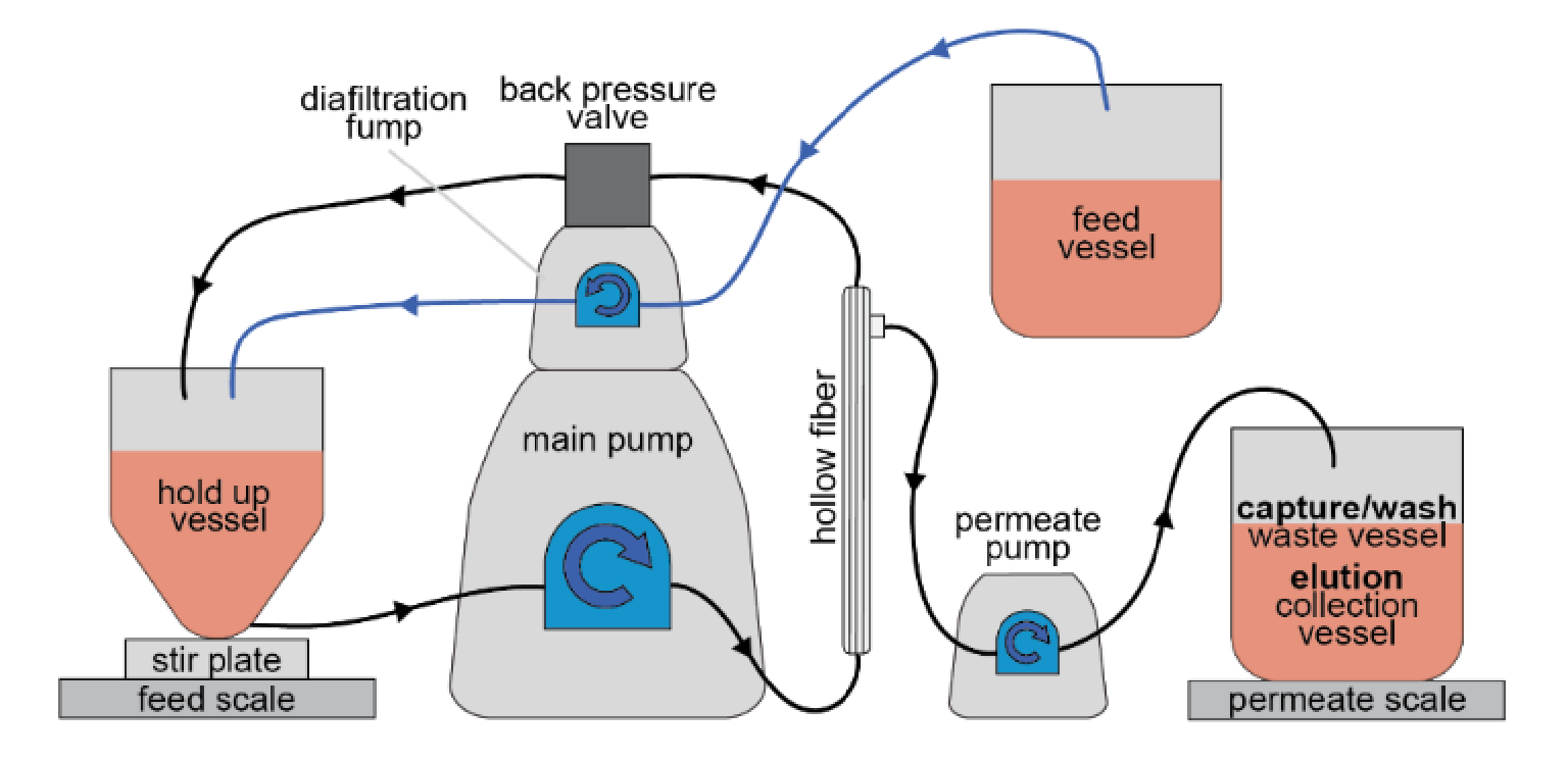 The setup is configured for permeate control mode with a hollow fiber filter and a stirred, bottom-fed retentate vessel.