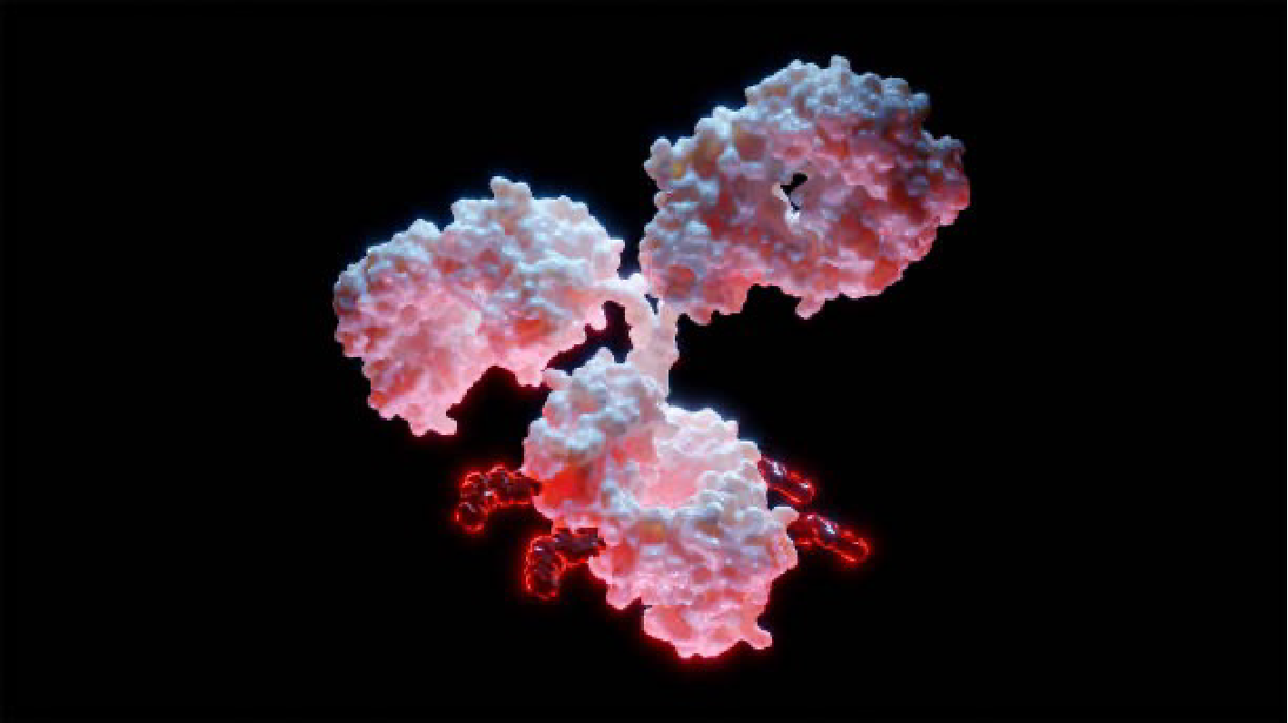 GlycoNex dosed the first patient in a study of its glycan-targeting ADC