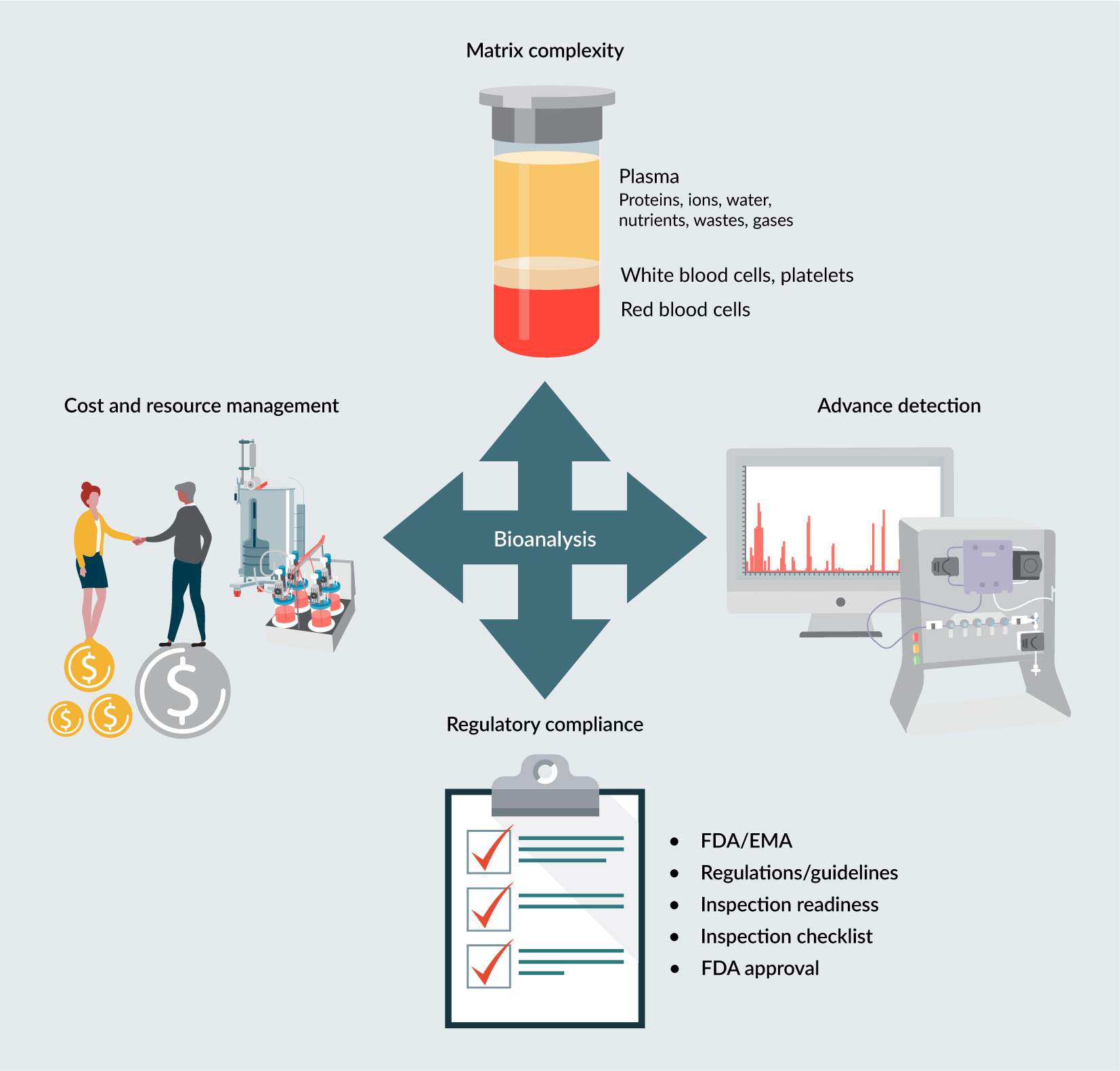 Key challenges and strategic solutions in bioanalytical method development.