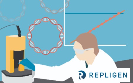 Accelerating Plasmid Production by Optimizing Your Process Analytics