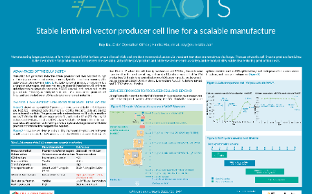 Stable lentiviral vector producer cell line for a scalable manufacture
