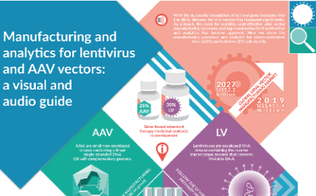 Manufacturing and analytics for lentivirus and AAV vectors: a visual and audio guide