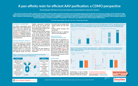 A pan-affinity resin for efficient AAV purification: a CDMO perspective