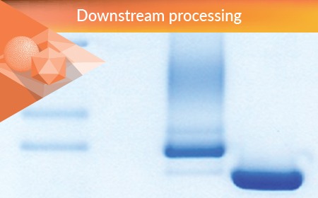 AAV process intensification using high-salt lysis and salt-tolerant endonuclease