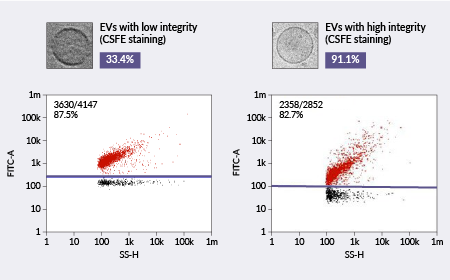 Extracellular vesicles: setting your path to IND with advanced characterization packages