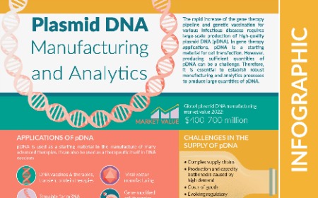 Plasmid DNA manufacturing and analytics: INFOGRAPHIC