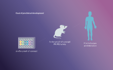 FDA perspective on the preclinical development of cell-based immunotherapies