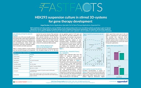 HEK293 suspension culture in stirred 3D-systems for gene therapy development