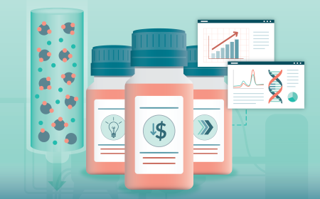 Phase-appropriate analytical control of cell therapy manufacture in early development stages