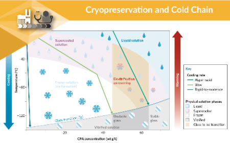 Innovation in cryopreservation & cold chain management
