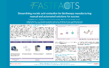 Streamlining nucleic acid extraction for biotherapy manufacturing: manual and automated solutions for success