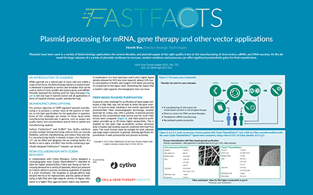 Plasmid processing for mRNA, gene therapy and other vector applications