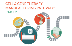 Overcoming the Key Challenges in Delivering Cell and Gene Therapies to Patients: A View from the Front Line