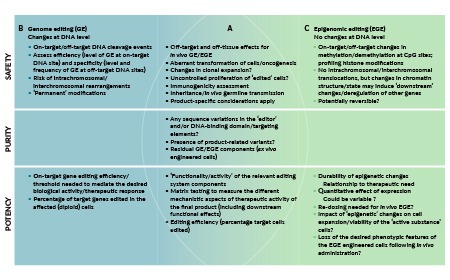 Therapeutic epigenome editing: safety and quality considerations of a new class of gene-targeted medicines 