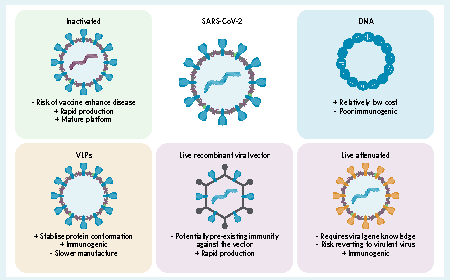 Advanced drying technologies for vaccine products