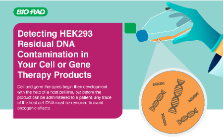 Detecting HEK293 residual DNA contamination in your cell or gene therapy products