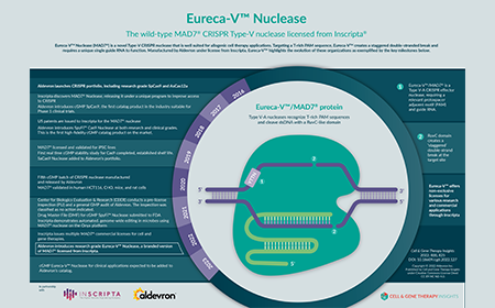 Eureca-V™ Nuclease: the wild-type MAD7® CRISPR Type-V nuclease licensed from Inscripta®
