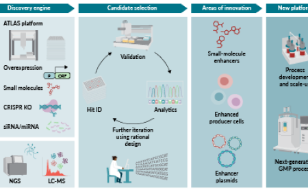 Advancing AAV production with high-throughput screening and transcriptomics