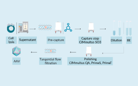 Roadmap to success in AAV purification. In-process control, high throughput & novel column modalities as necessary means for control over scalable AAV process