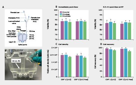 Cryopreserving CAR-T cells in a novel rigid container maintains their phenotype and function compared to conventional cryobags and cryovials