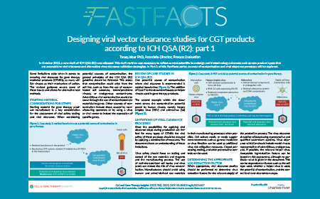 Designing viral vector clearance studies for CGT products according to ICH Q5A (R2): part 1