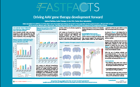 Advancing AAV gene therapy development for the treatment of neurodegenerative diseases