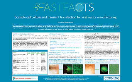 Scalable cell culture and transient transfection for viral vector manufacturing