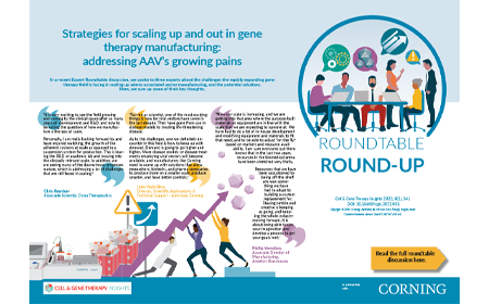 Roundtable Roundup: strategies for scaling up and out in gene therapy manufacturing - addressing AAV’s growing pains