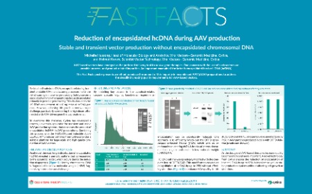 Reduction of encapsidated hcDNA during AAV production