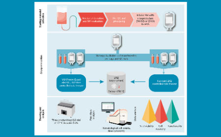 Optimizing and standardizing the cryopreservation of cellular samples: new data and insights from the UK’s Advanced Therapy Treatment Centres network programme