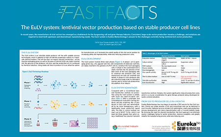 The EuLV system: lentiviral vector production based on stable producer cell lines