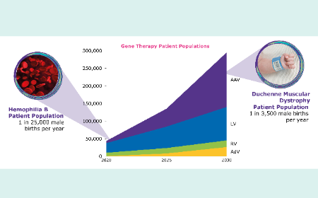 Process development innovations to improve gene therapy manufacturing