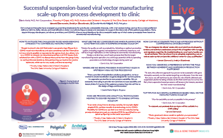 Successful suspension-based viral vector manufacturing scale-up from process development to clinic