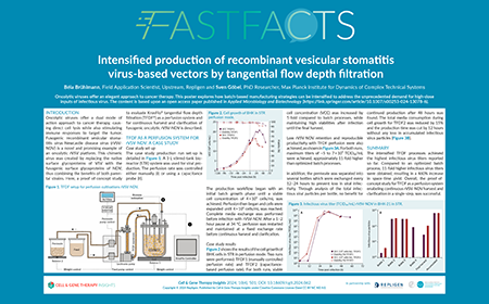Intensified production of recombinant vesicular stomatitis virus-based vectors by tangential flow depth filtration