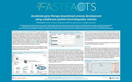 Accelerate gene therapy downstream process development using scalable pre-packed chromatography columns