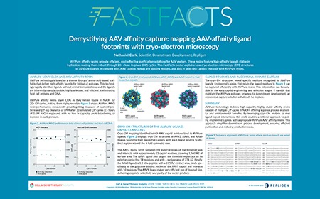 Demystifying AAV affinity capture: mapping AAV-affinity ligand footprints with cryo-electron microscopy 