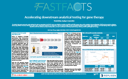 Accelerating downstream analytical testing for gene therapy