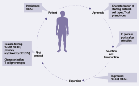 Navigating the opportunities and challenges in analytical development of flowcytometry for T cell therapy