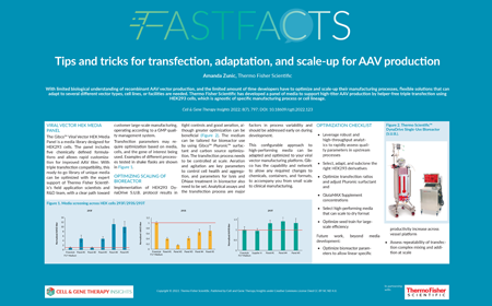 Tips and tricks for transfection, adaptation, and scale-up for AAV production