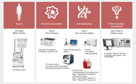 Enhancing CAR-T cell generation: optimizing non-viral engineering of resting T cells for improved cancer immunotherapy