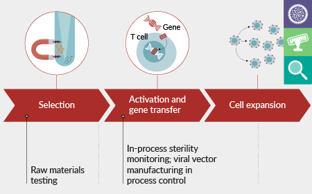 Analytical strategies for sterility and mycoplasma testing in biotherapies: from early development to production scale-up