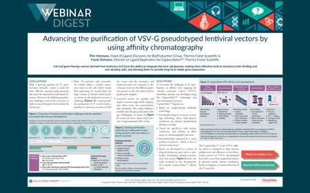 Advancing the purification of VSV-G pseudotyped lentiviral vectors by using affinity chromatography