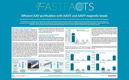 Efficient AAV purification with AAVX and AAV9 magnetic beads