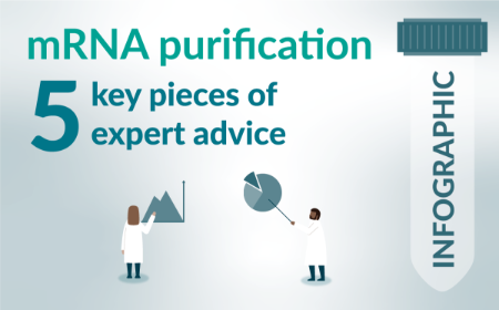 mRNA purification: 5 key pieces of expert advice