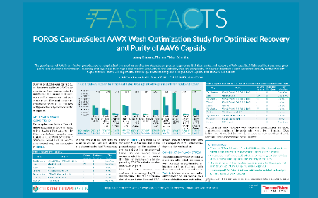 POROS CaptureSelect AAVX Wash Optimization Study for Optimized Recovery and Purity of AAV6 Capsids